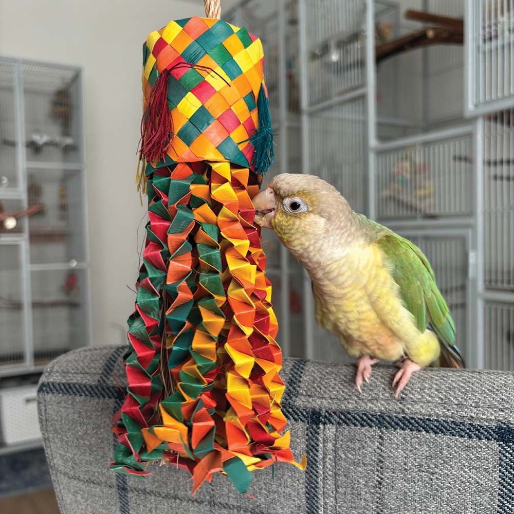 An image of Octopus Pinata Medium Natural Woven Palm Leaf Parrot Toy