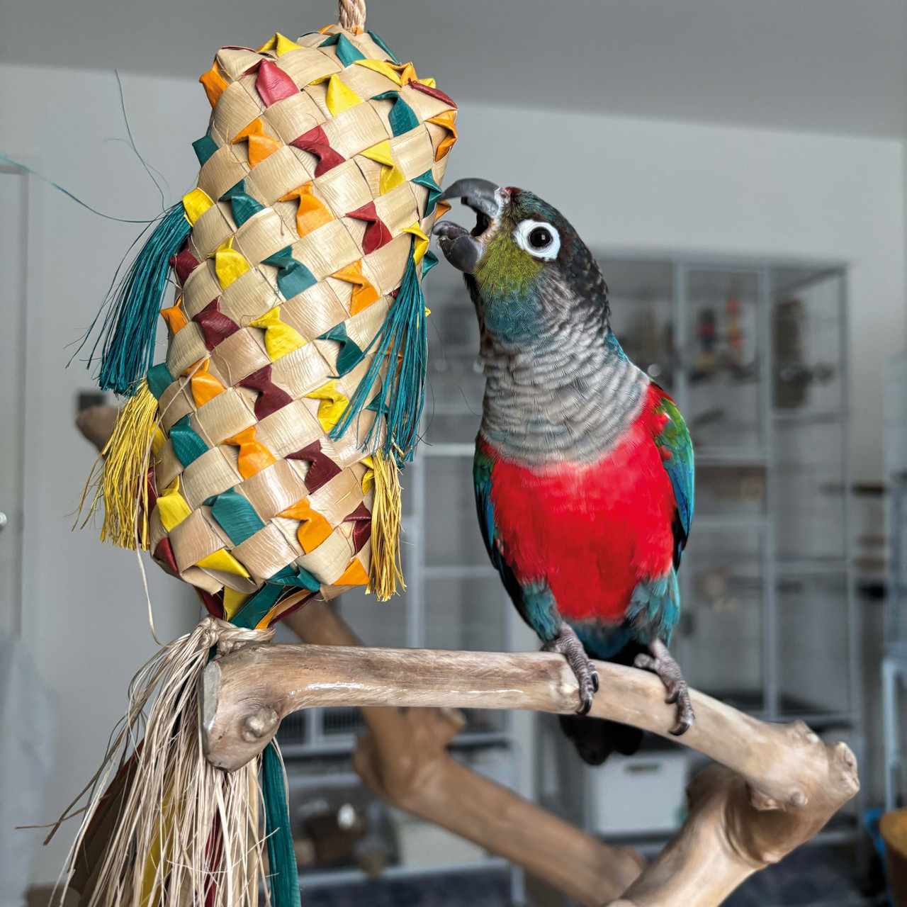 An image of Foraging Pinata Medium Natural Woven Palm Leaf Parrot Toy