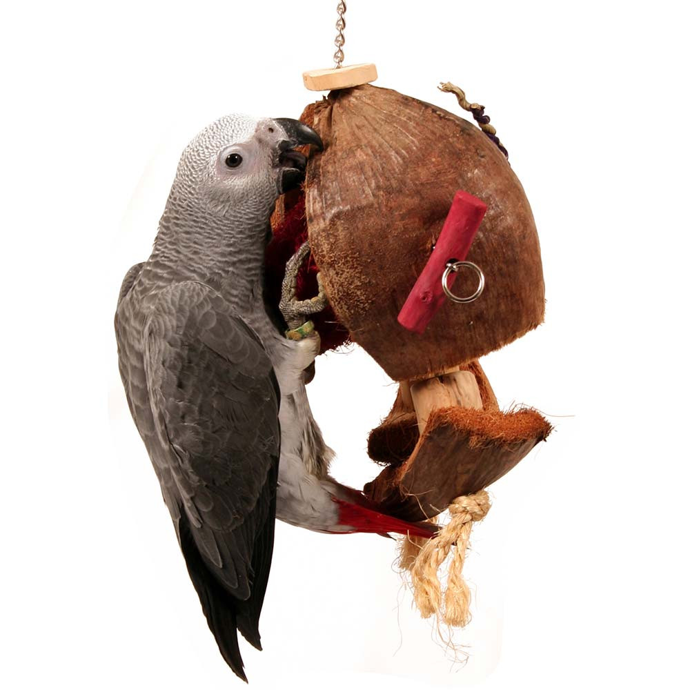 An image of Java Coco De Nut Natural Parrot Toy