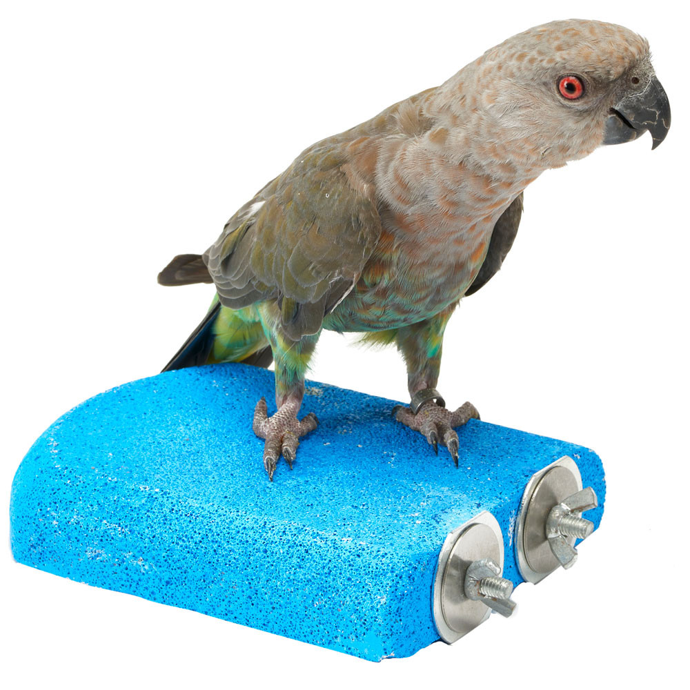 An image of Sanded Nail Trimming Platform Parrot Perch