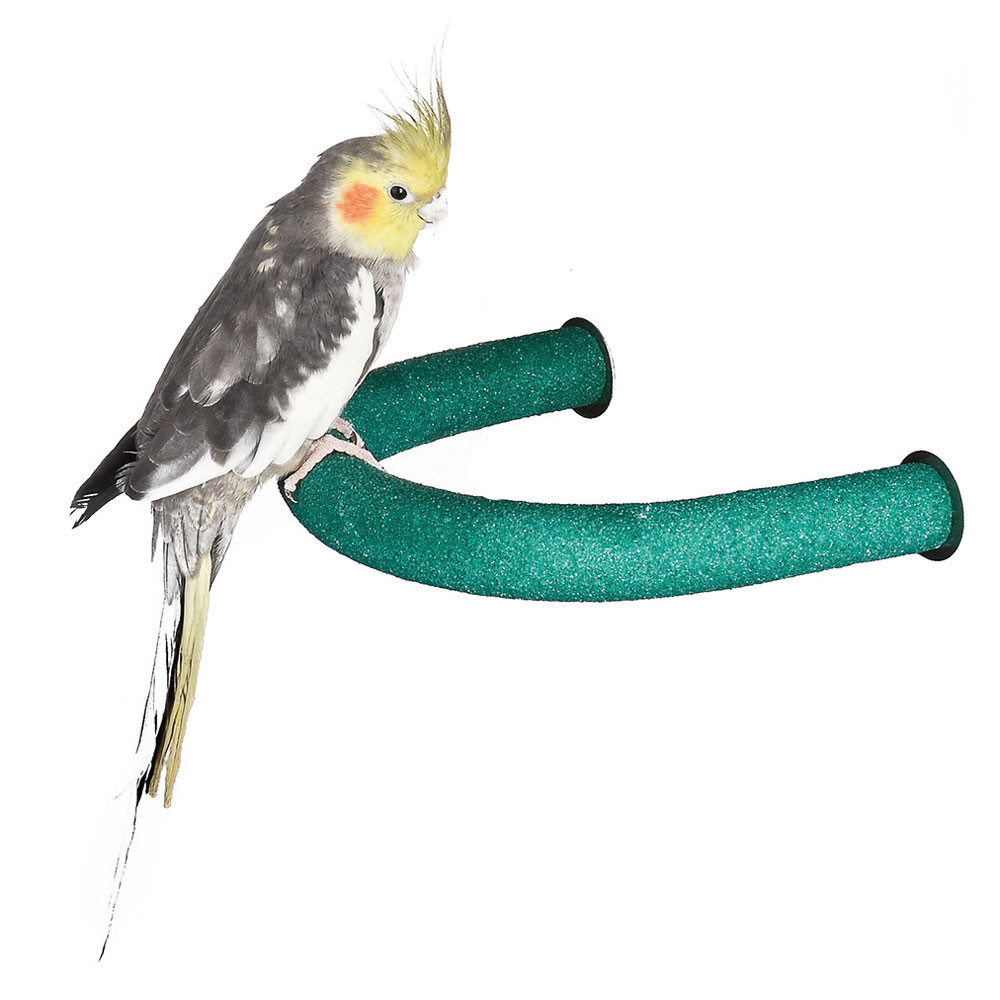 An image of Sanded Nail Trimming U Shaped Parrot Perch