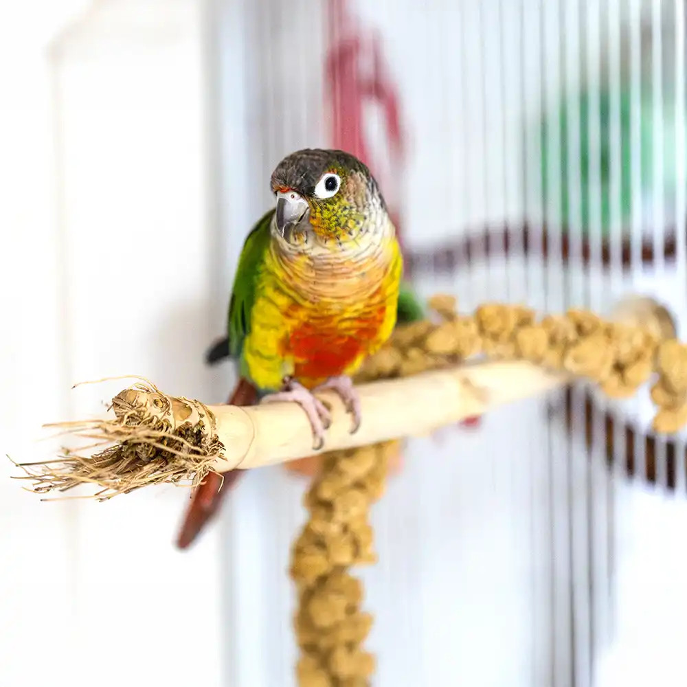 An image of Bamboo Root Wood Natural Parrot Perch Small