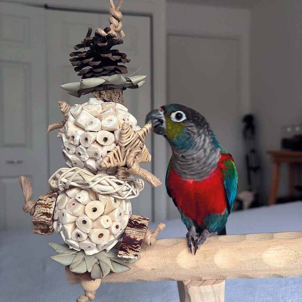 An image of Sola Ball Star Stacker Tree Natural Parrot Toy