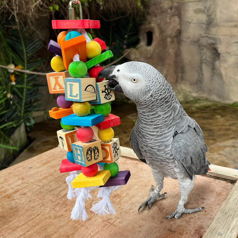 An image of Jumble Stacks Parrot Toy