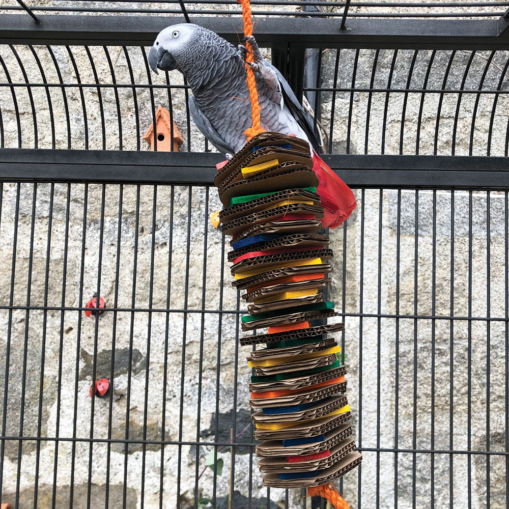 An image of Stacks of Shredding - Large - Wood & Cardboard Parrot Toy