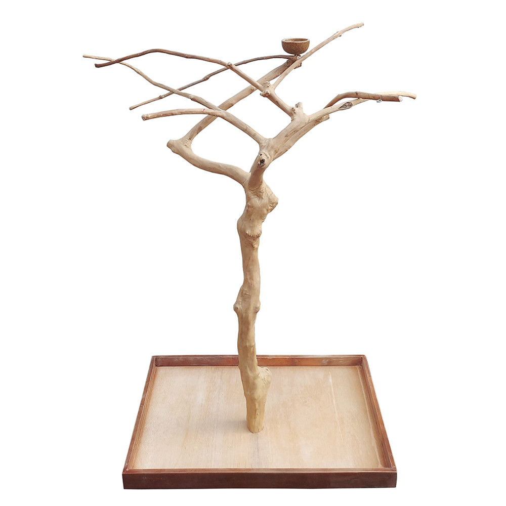 An image of Java Midi Tree Natural Hardwood Parrot Stand