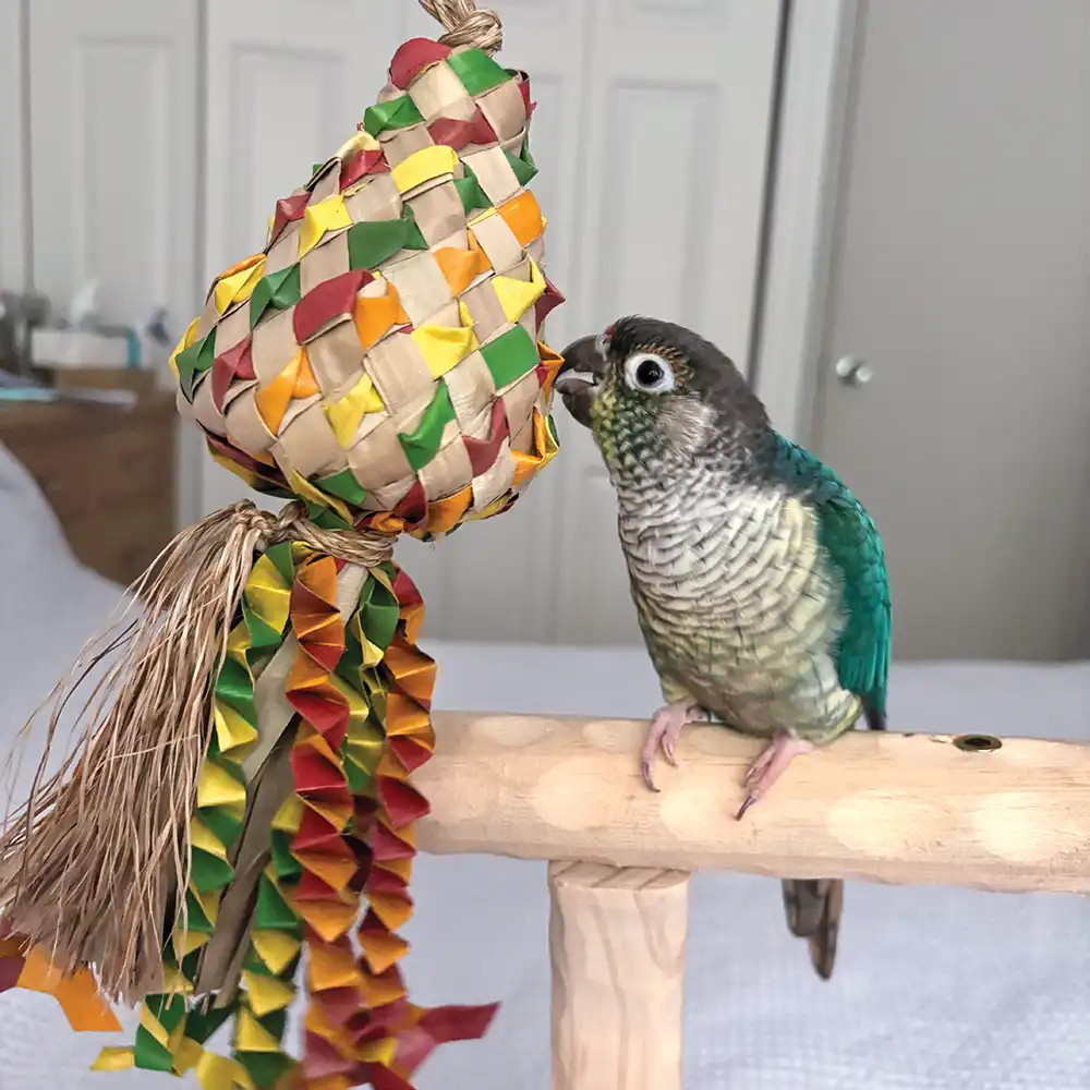 An image of Kiss Pinata Small Natural Woven Palm Leaf Parrot Toy