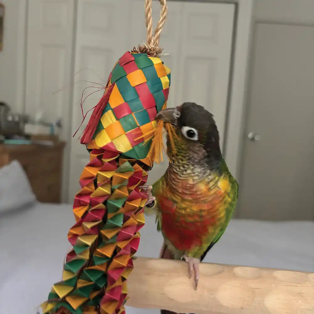 An image of Octopus Pinata Small Natural Woven Palm Leaf Parrot Toy