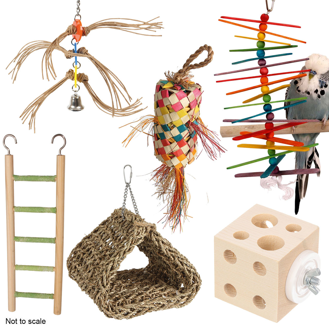 An image of Northern Parrots Budgie Parrot Toy Pack