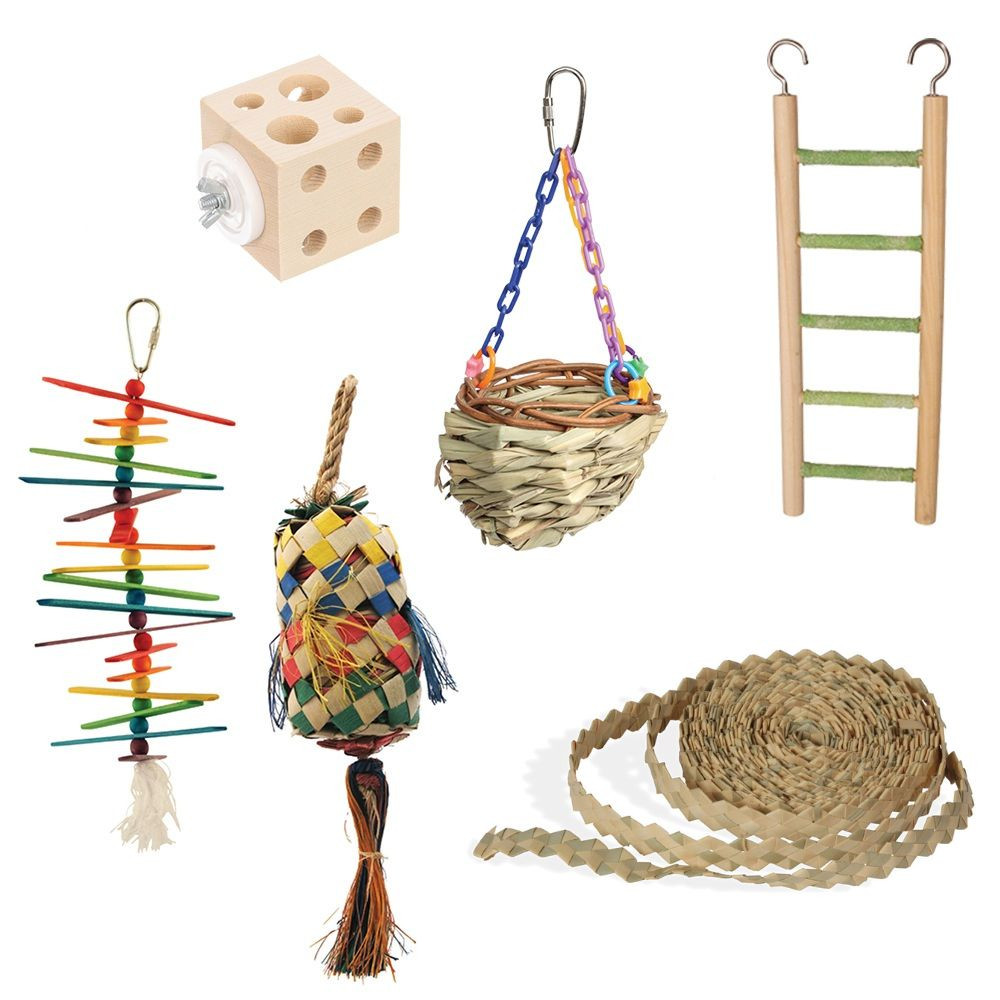 An image of Northern Parrots Budgie Parrot Toy Pack