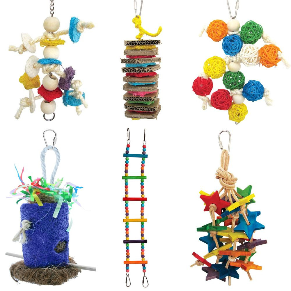 An image of Northern Parrots Budgie Parrot Toy Pack