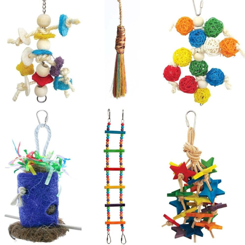 An image of Northern Parrots Budgie Parrot Toy Pack
