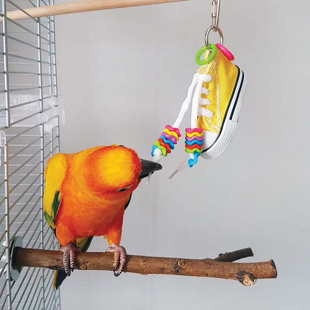 An image of Beaker Sneaker Parrot Toy