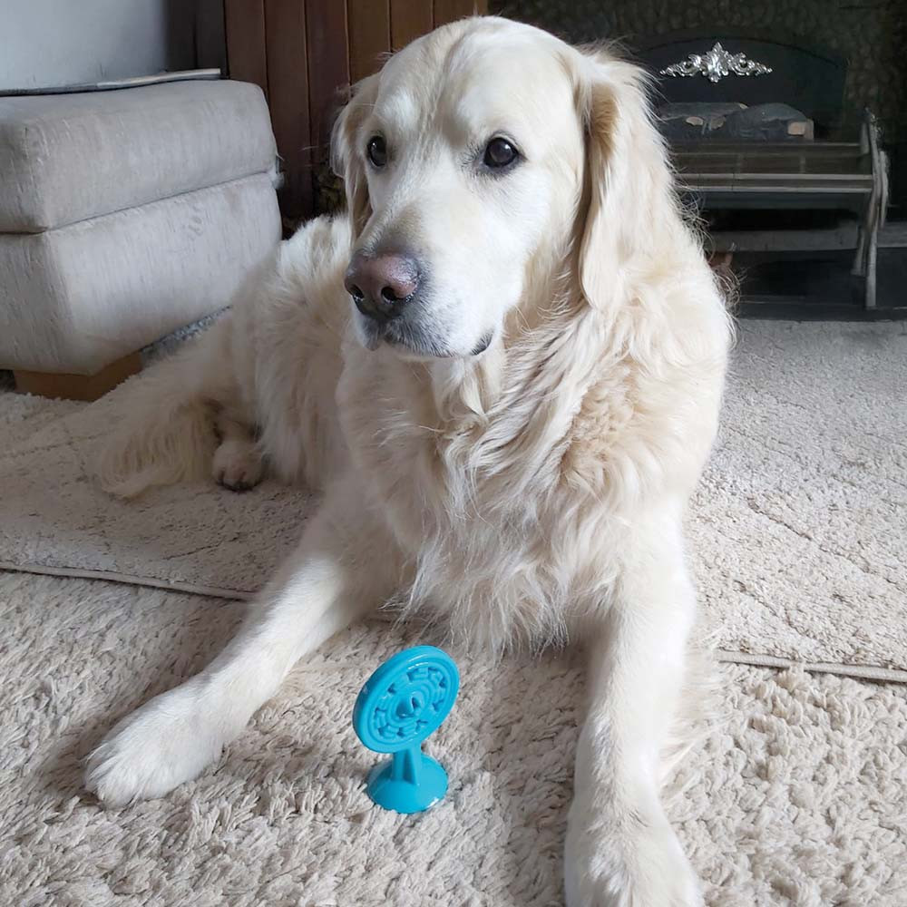 An image of Chase n Chomp Stick-It Suction Cup Pupsicle Dog Toy