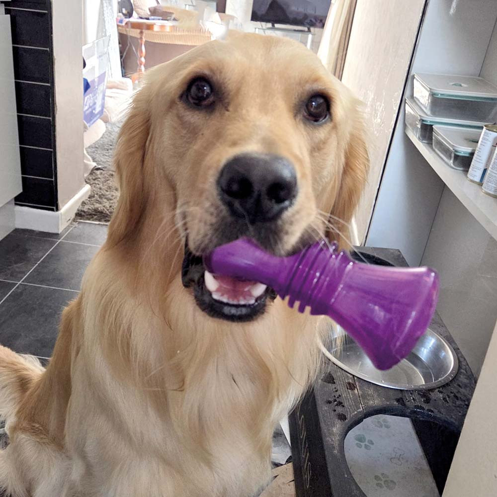An image of Hero Soft Rubber Treat Drum Dog Toy