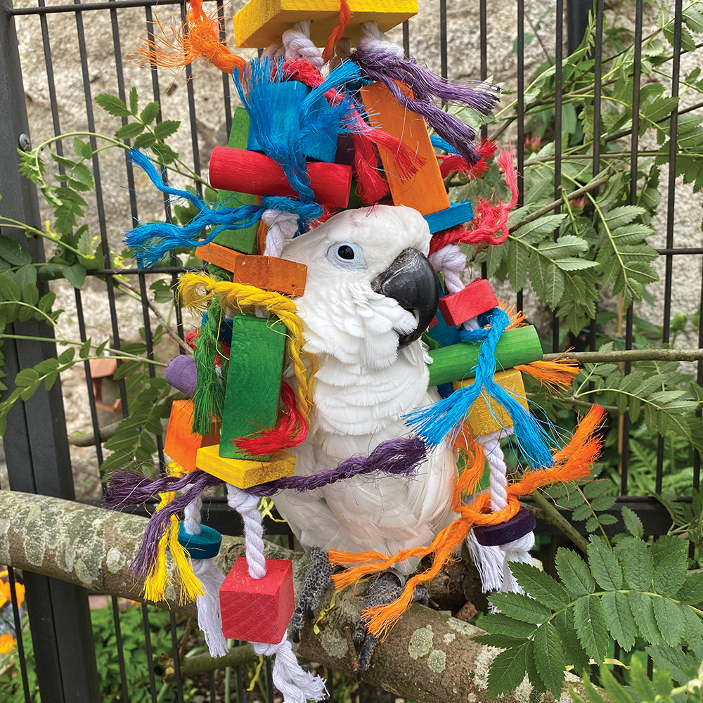 An image of Knotty Stacker Wood And Rope Parrot Toy