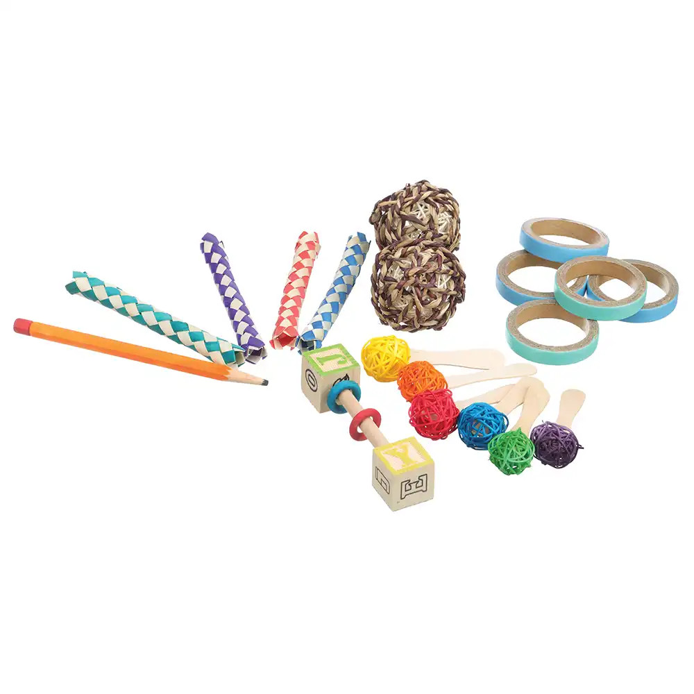 An image of Northern Parrots Chewable Foot Toy Parrot Toy Bundle