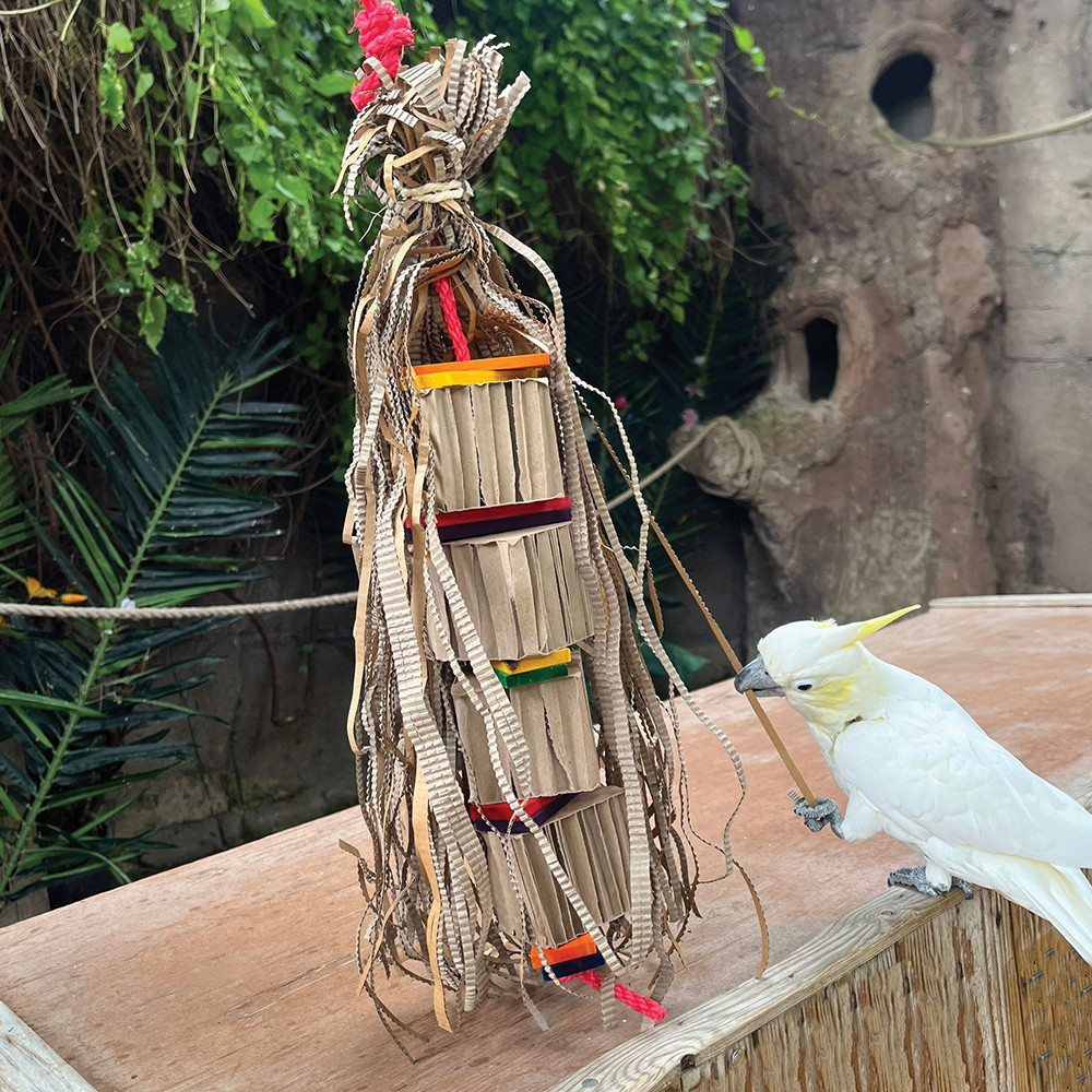An image of Le Tenda Shreddable Cardboard Parrot Toy
