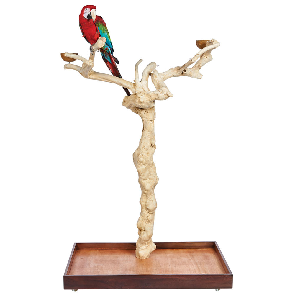 An image of Java Duo Tree - Large - Natural Hardwood Parrot Playstand