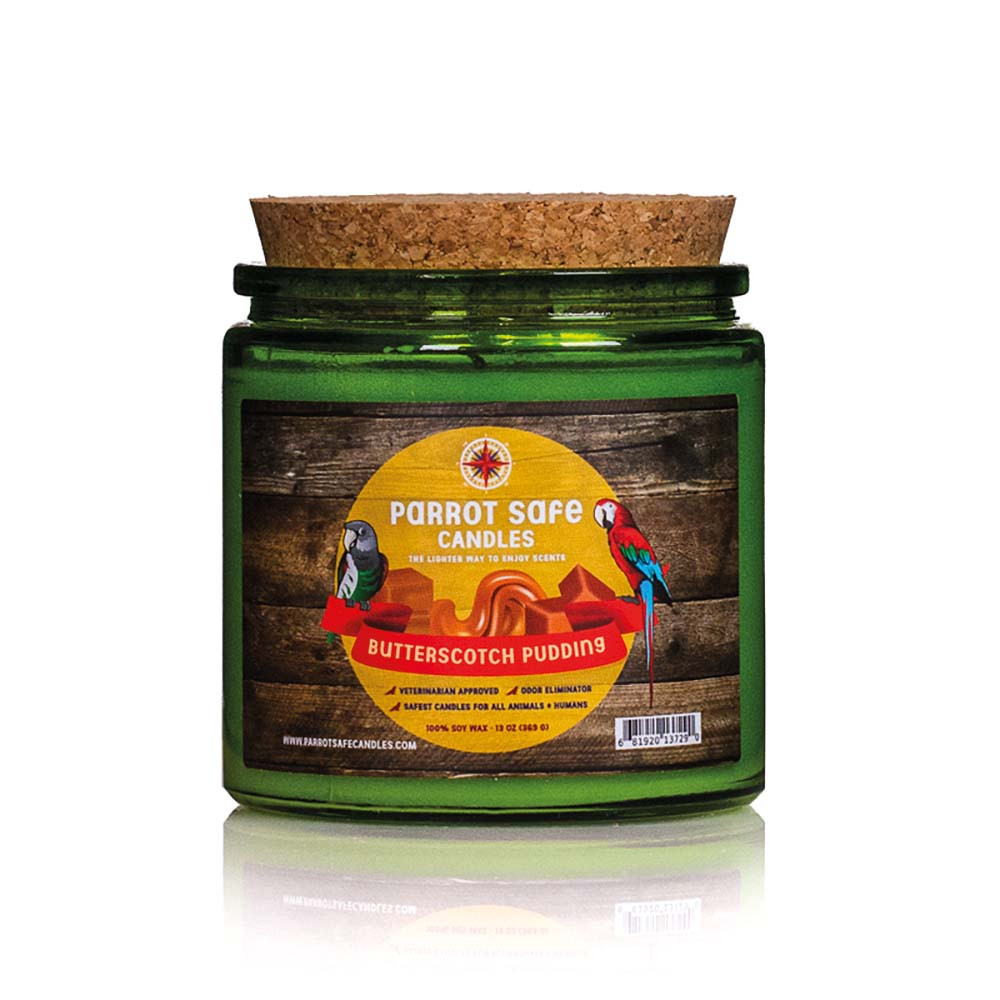 An image of Parrot Safe Candle Butterscotch Pudding Scented