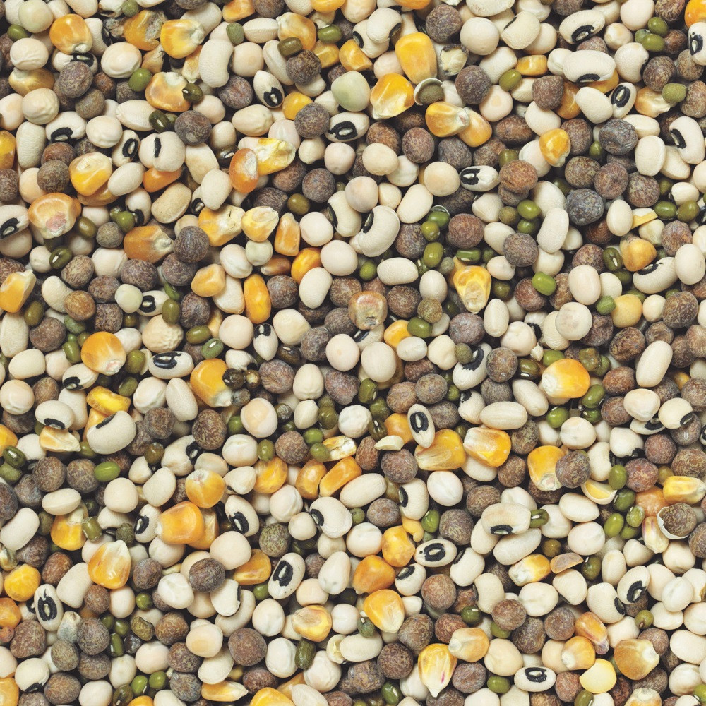 An image of Johnston and Jeff Mixed Pulses Parrot Food 2kg