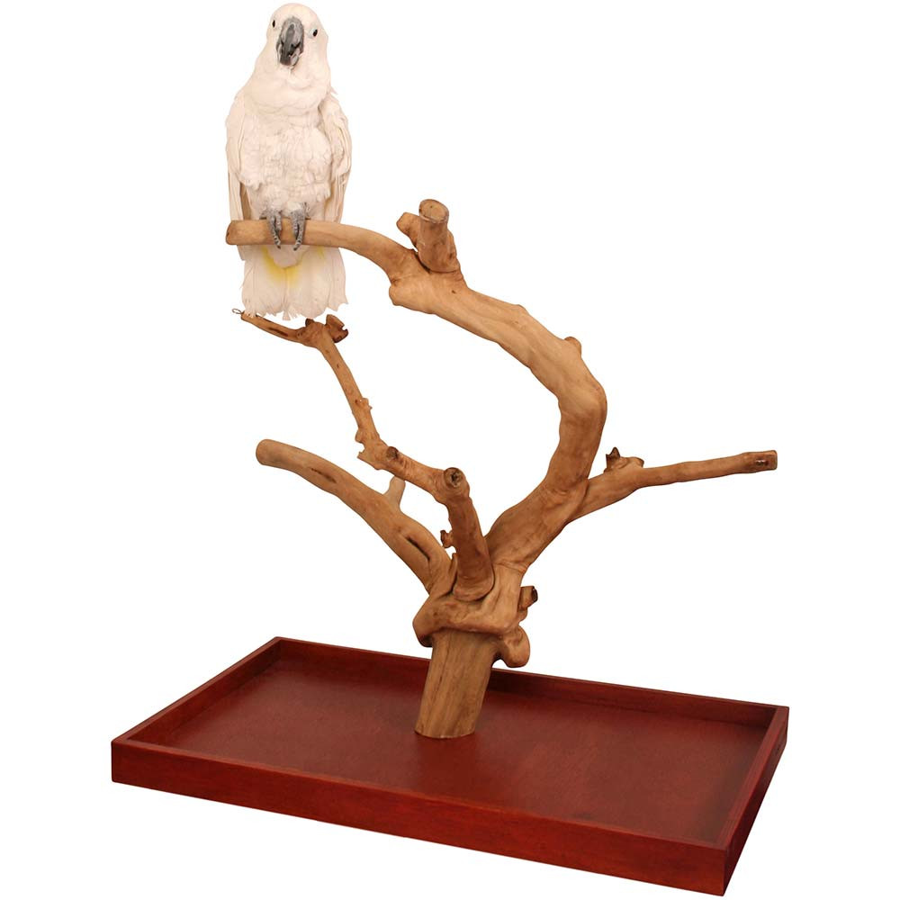 An image of Java Tabletop Tree - Large - Natural Hardwood Parrot Stand