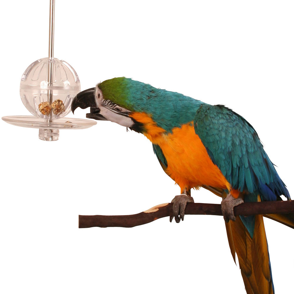 An image of Creative Foraging Buffet Ball Kabob Parrot Toy