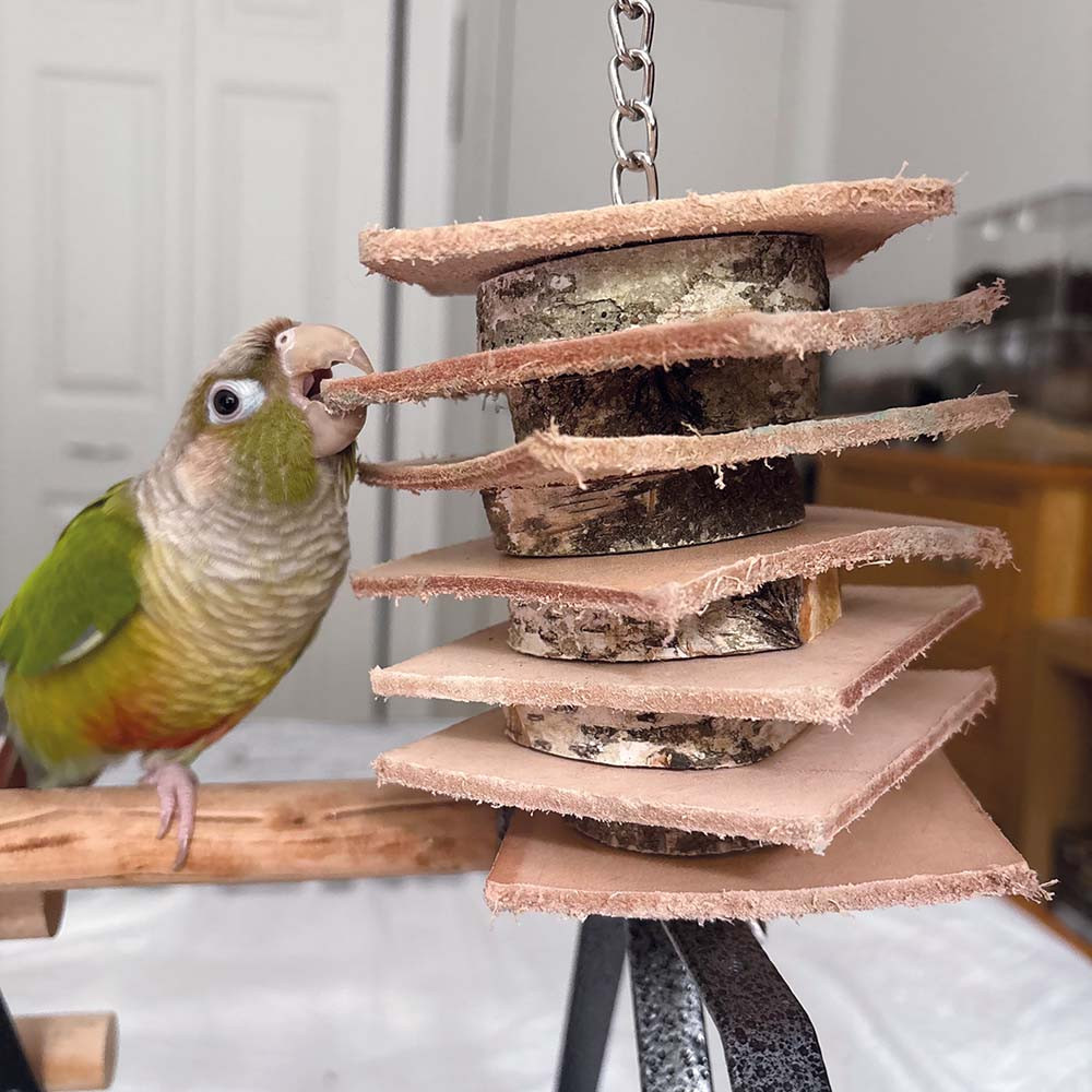 An image of Birch Wood Logs and Leather Stacker Parrot Toy