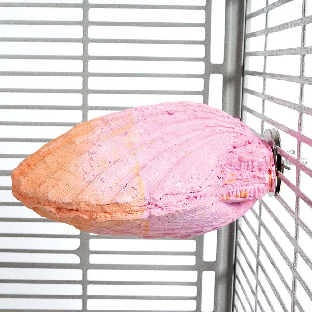 An image of Edible Calcium Clam Parrot Perch - Large