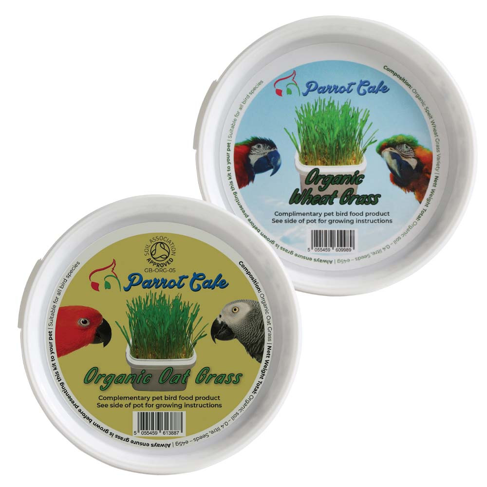An image of Parrot Caf Grow Your Own Grass Parrot Treat Bundle