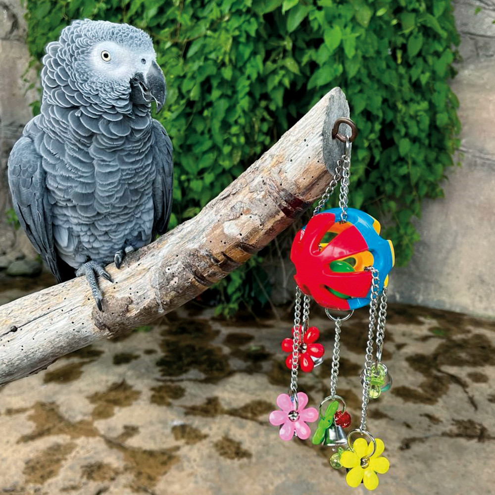 An image of Charming Jingle Ball Parrot Toy