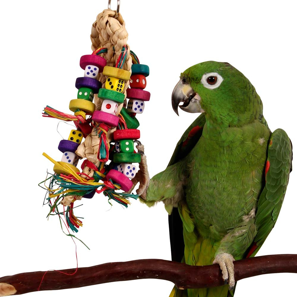 An image of Odds On - Beak Pleaser Parrot Toy