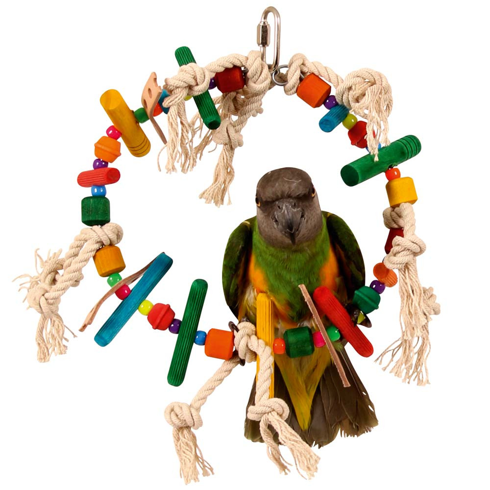 An image of Block Ring Parrot Toy