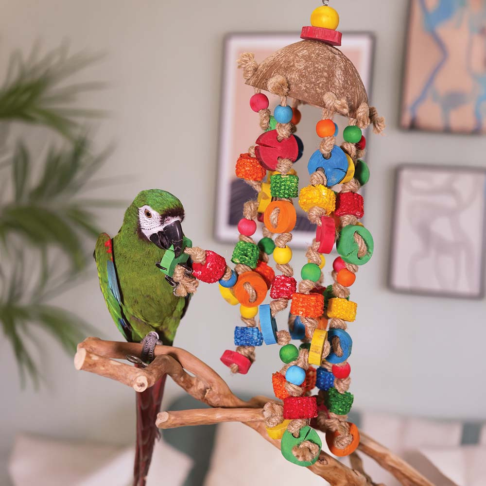 An image of Octopus Coffee Wood Parrot Toy