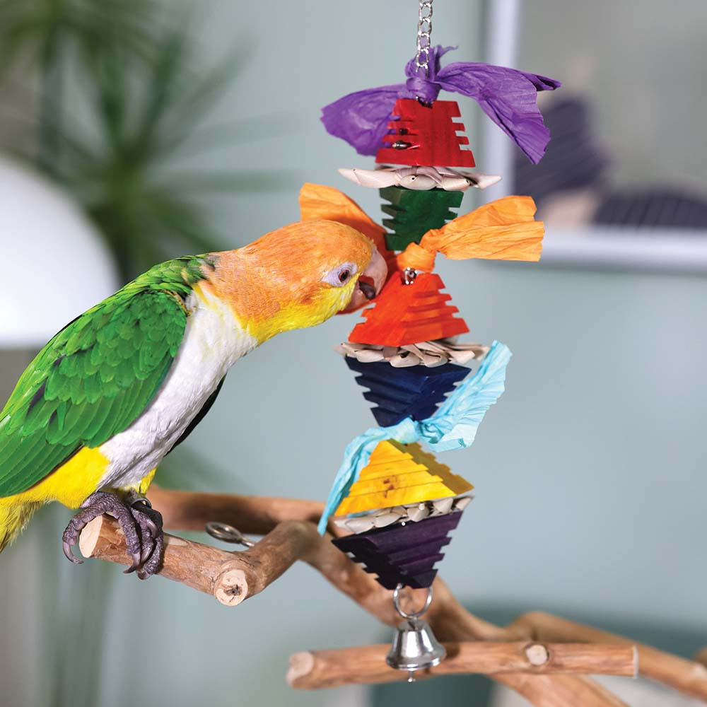 An image of Groovy Pyramid Parrot Toy