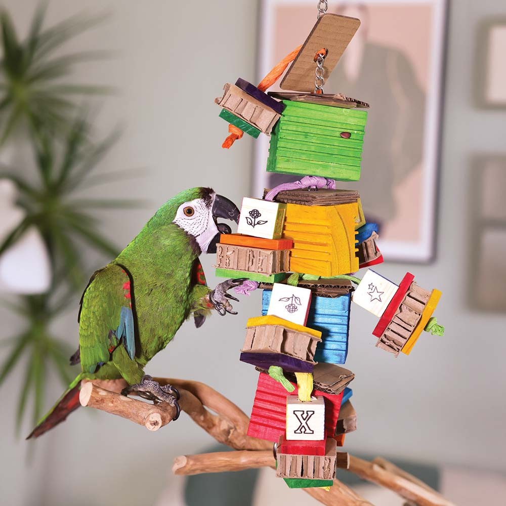 An image of Groovy Blocks Tower Parrot Toy