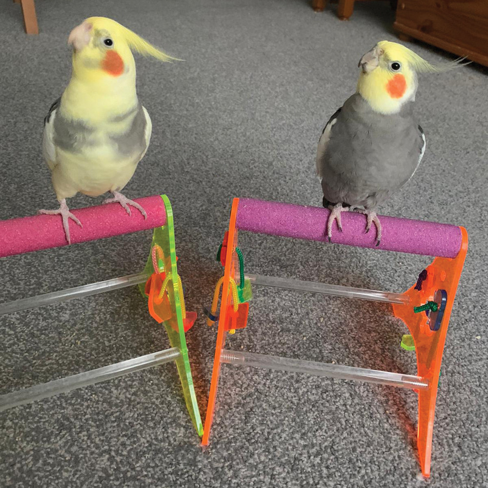 An image of Sanded Nail Trimming Tabletop Parrot Stand - Medium