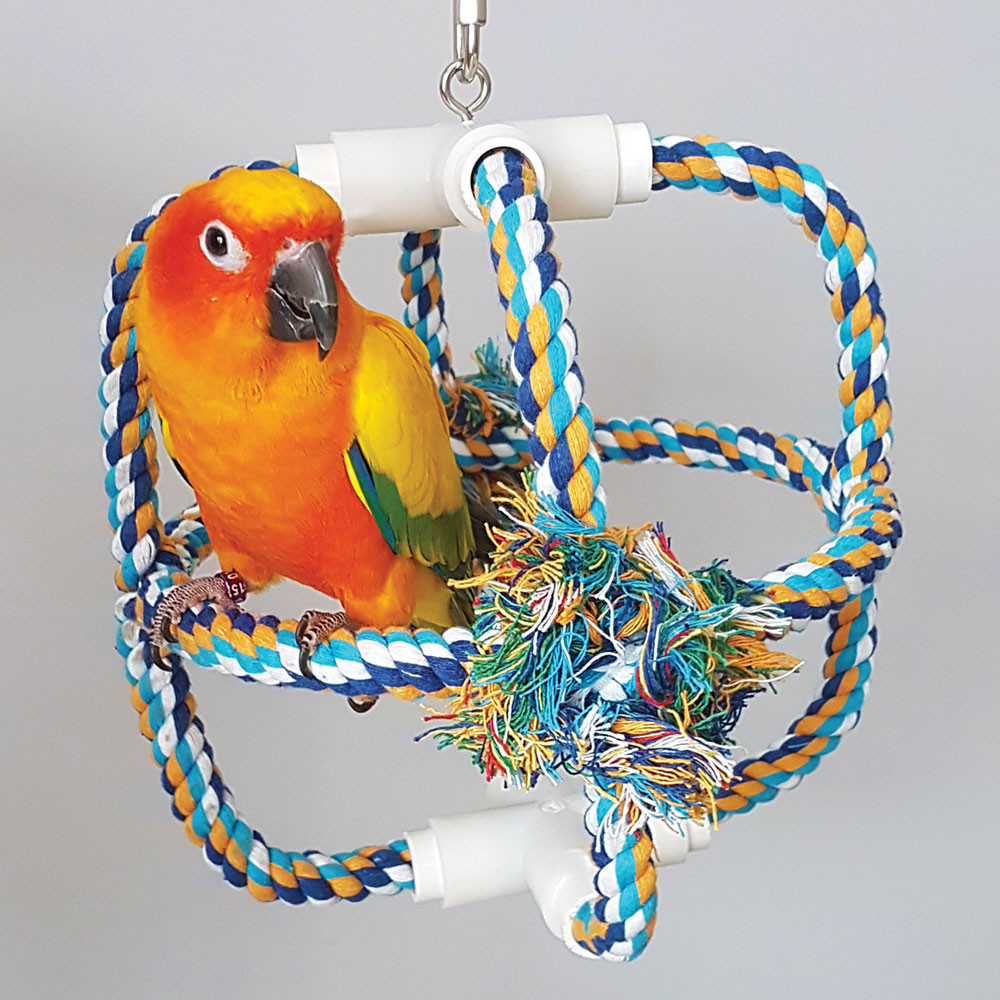 An image of Parrot Orbit Cotton Climbing Swing Parrot Toy
