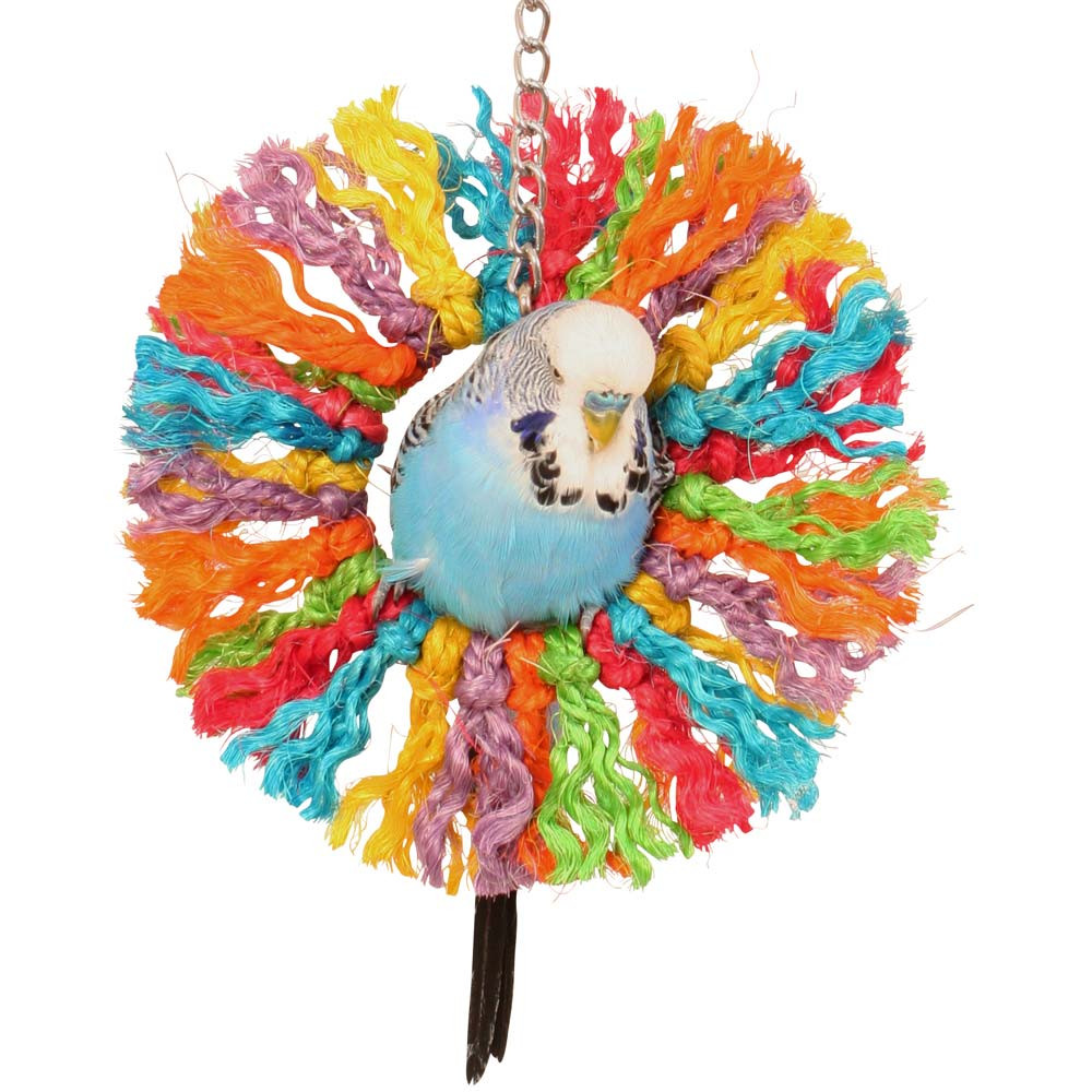 An image of Rainbow Sisal Ring Rope Parrot Toy