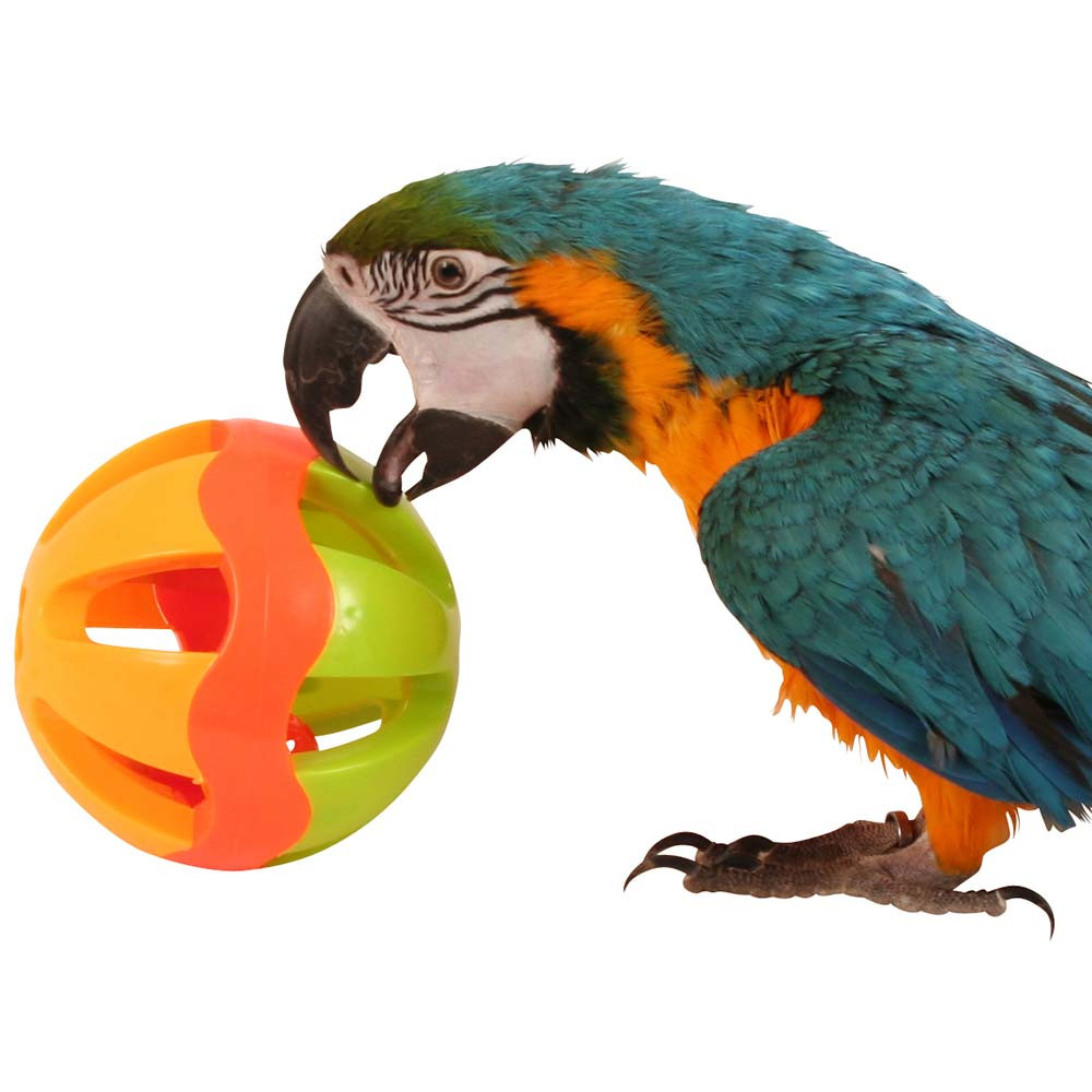 An image of Jingle Ball Parrot Play Toy - Large