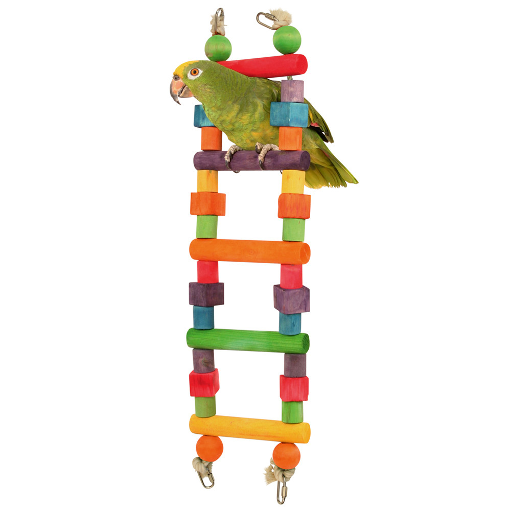 An image of Rainbow Wooden Parrot Ladder - Small