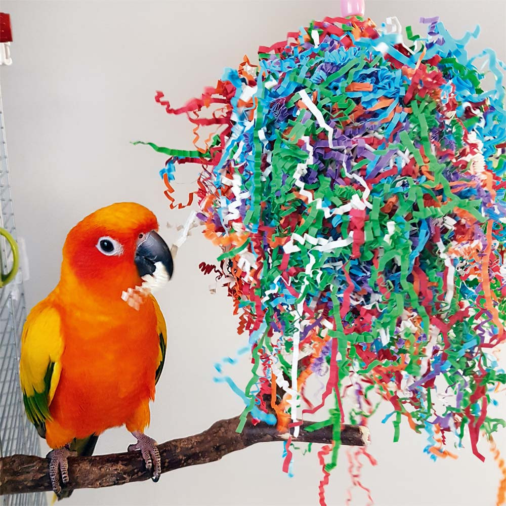 An image of Party Paper Preener Parrot Toy