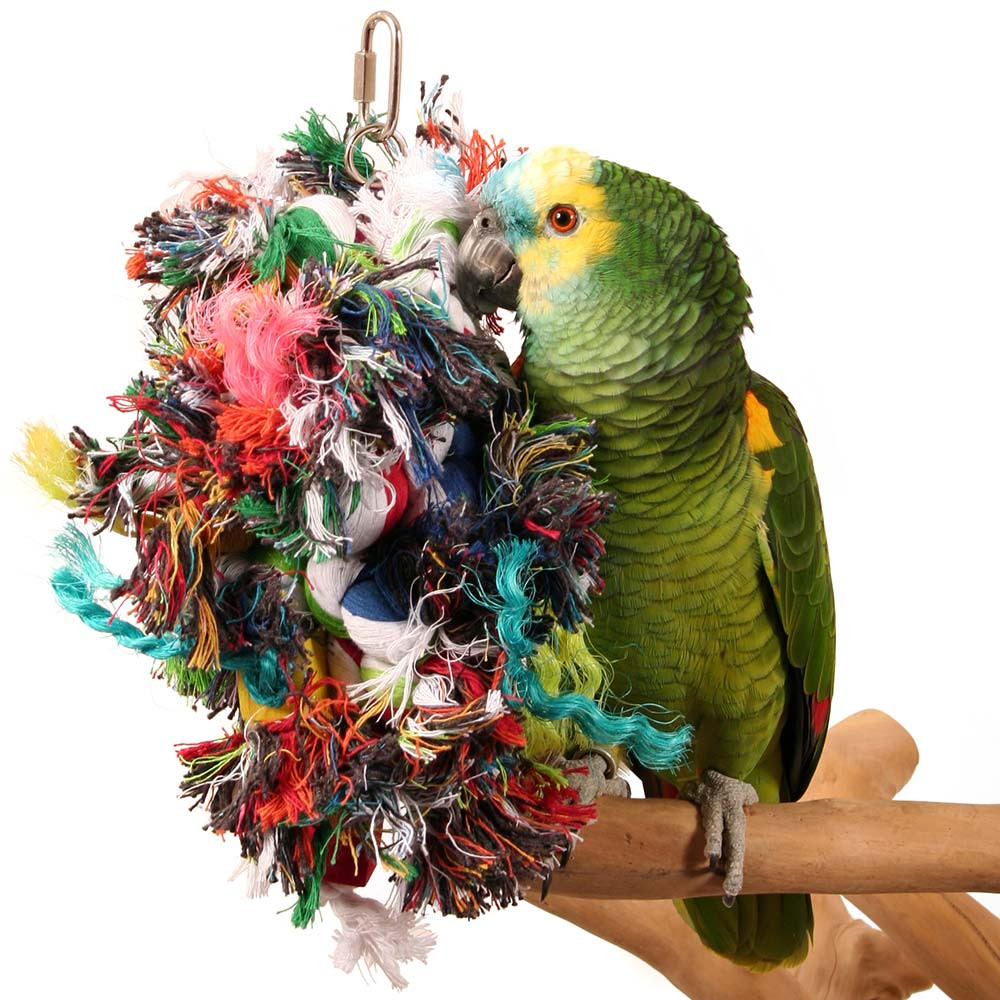 An image of Multi Preener Parrot Toy