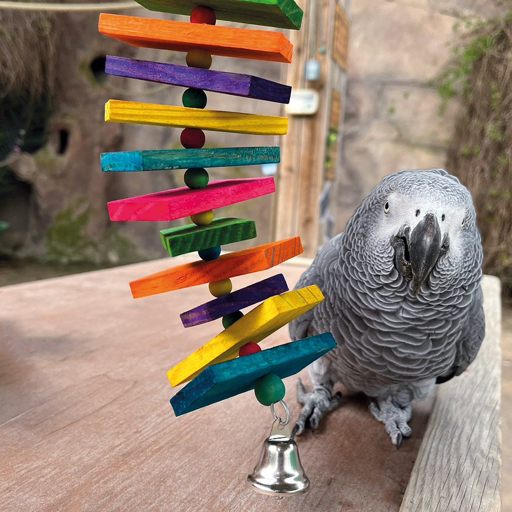 An image of Coloured Stacker Wooden Parrot Toy - Large