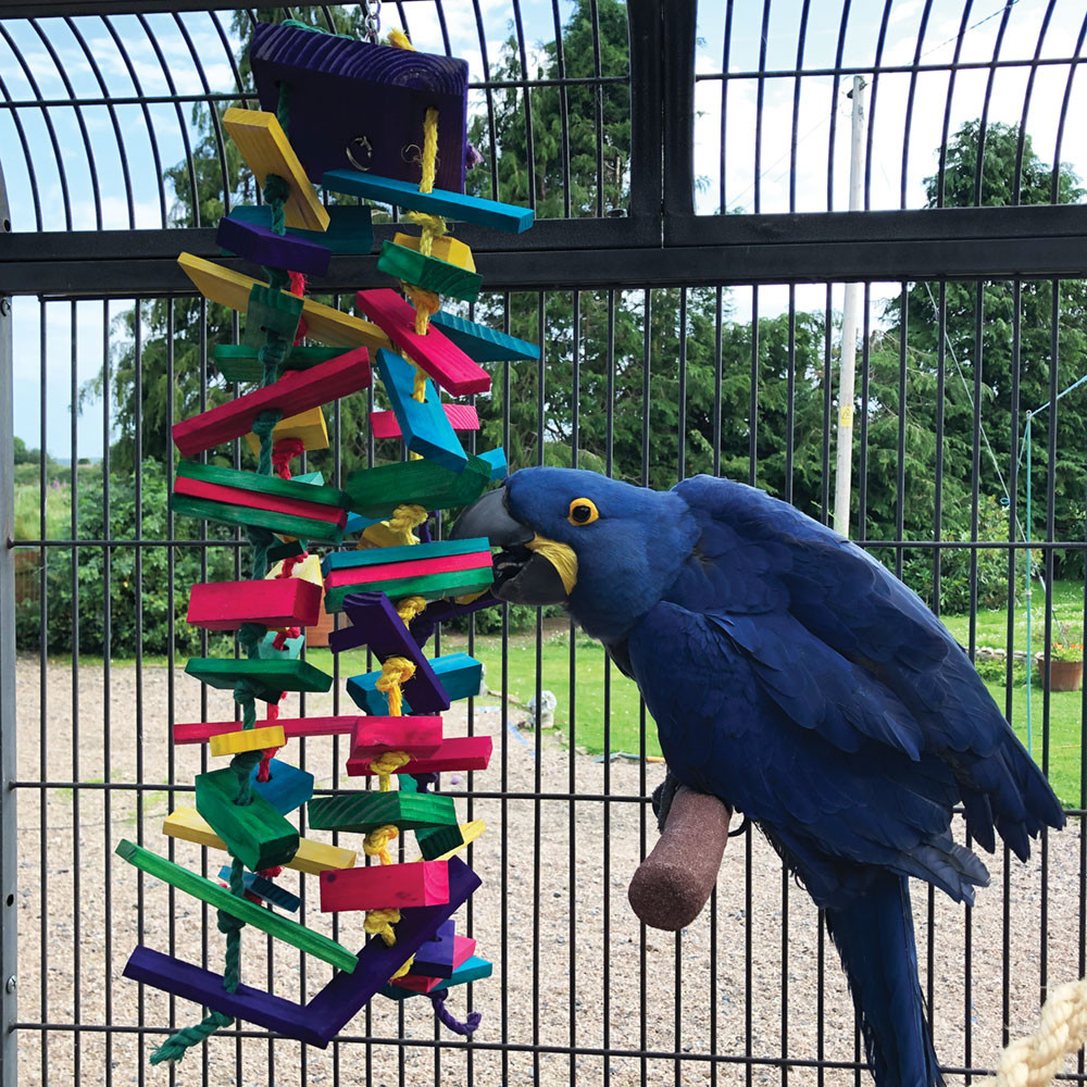 An image of Rainbow Tower Wood and Rope Parrot Toy