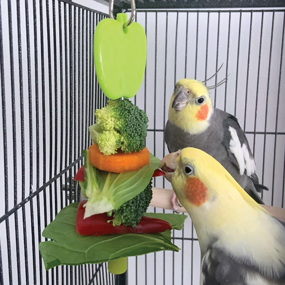 An image of Kabob Parrot Treat Holder