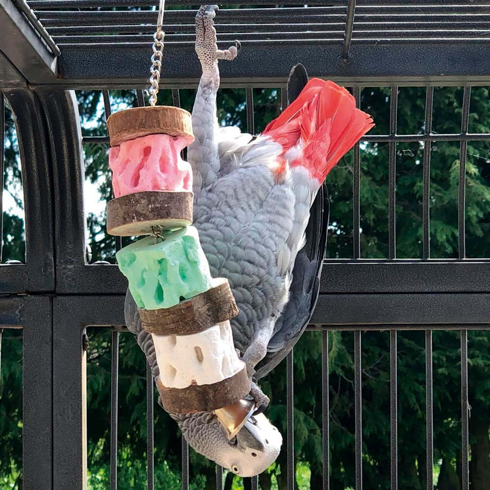 An image of Triple Cactus Slice Mineral Chew Parrot Toy