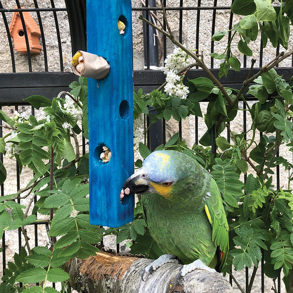 An image of Fill Me Up - Foraging Parrot Toy - Large