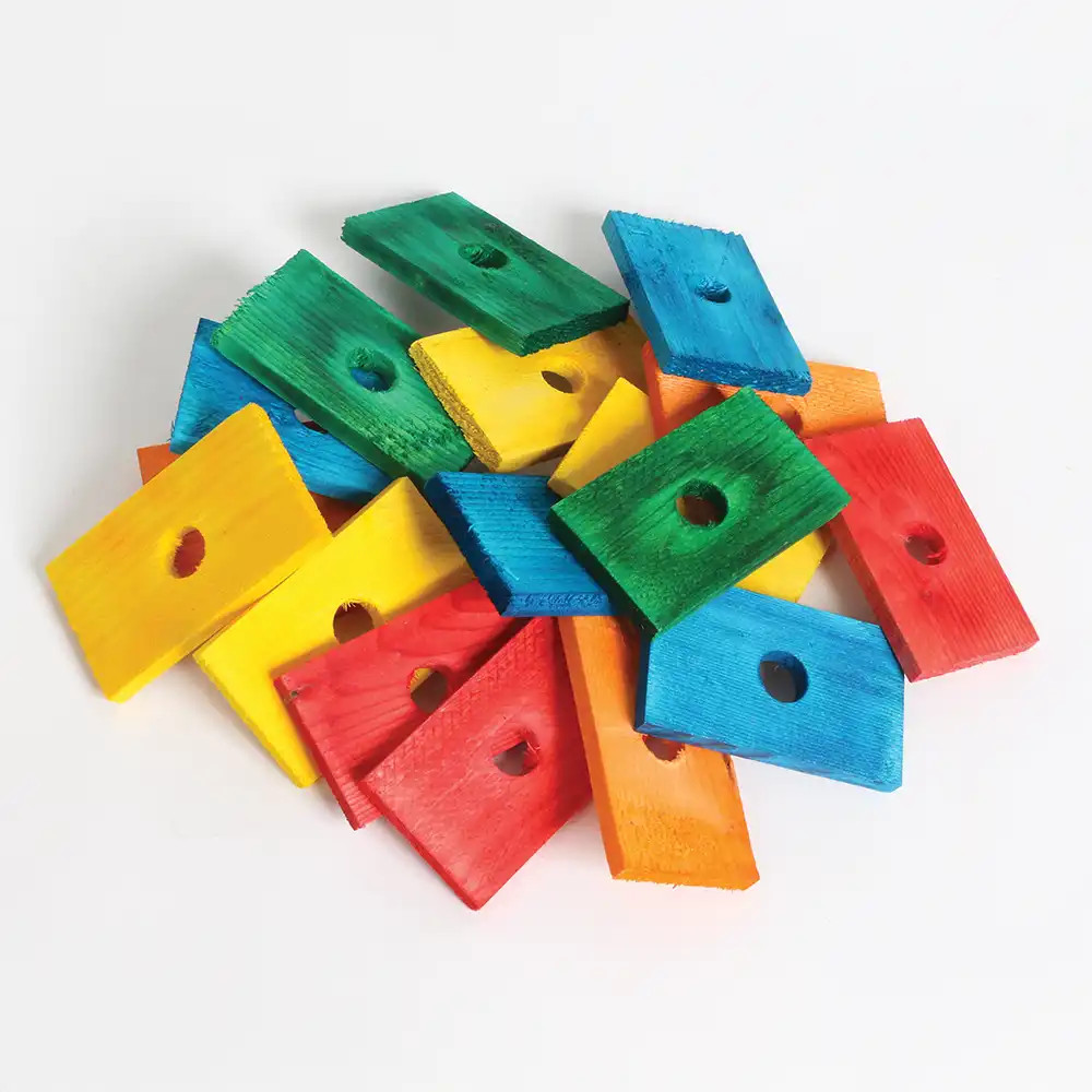 An image of Coloured Wood Slices - Small - Parrot Toy Parts - Pack of 20