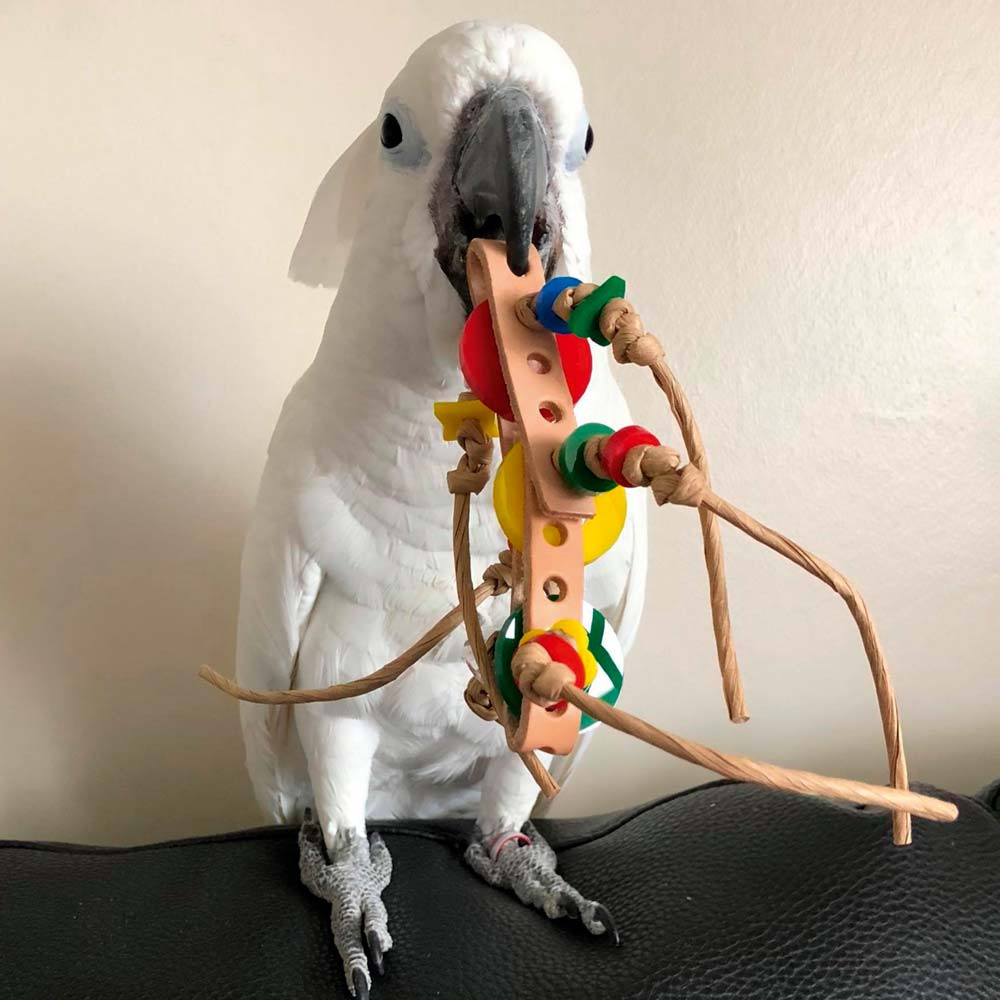 An image of Rollicking Foot Toy for Parrots